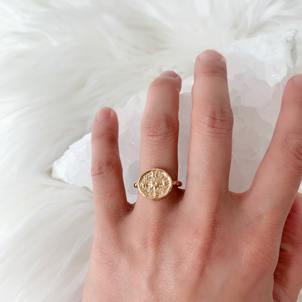 RESTOCKED NSEW compass ring in gold - Picture 5 of 8